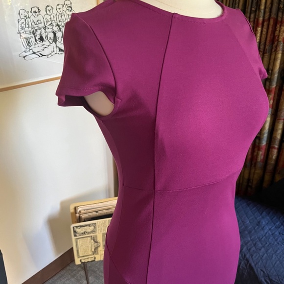 Felicity and Coco Dress - Magenta - Picture 4 of 7